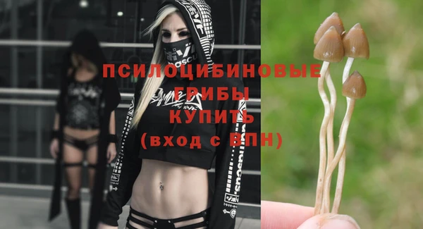 МДПВ Белокуриха