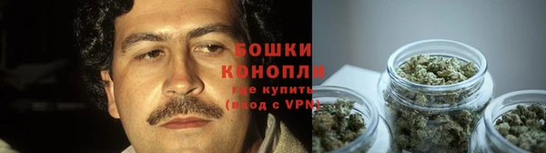 сатива Богородск