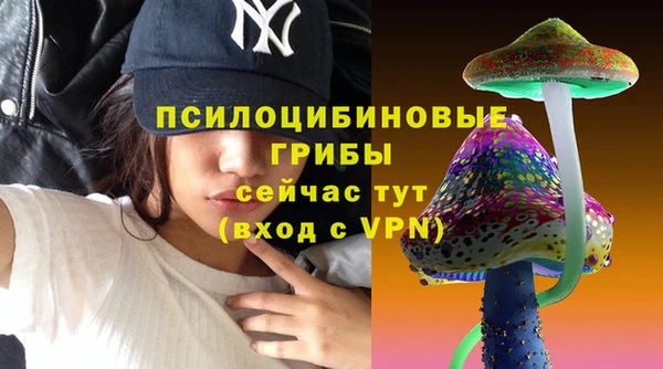 МДПВ Белокуриха