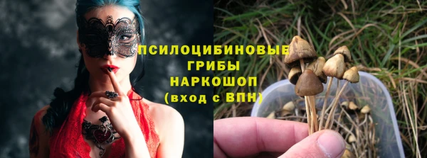 гидра Белоозёрский