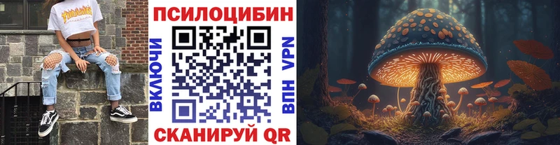 Галлюциногенные грибы мухоморы  Черноголовка 